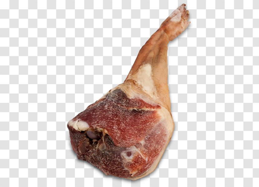 Ham Cocido Caldo Gallego Pig's Ear Domestic Pig - Tree Transparent PNG
