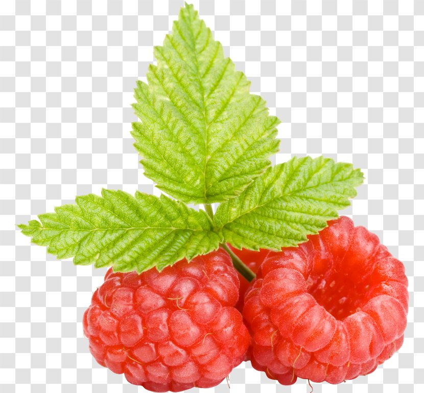 Frutti Di Bosco Raspberry Boysenberry Cloudberry - Loganberry - Fresh Raspberries Transparent PNG