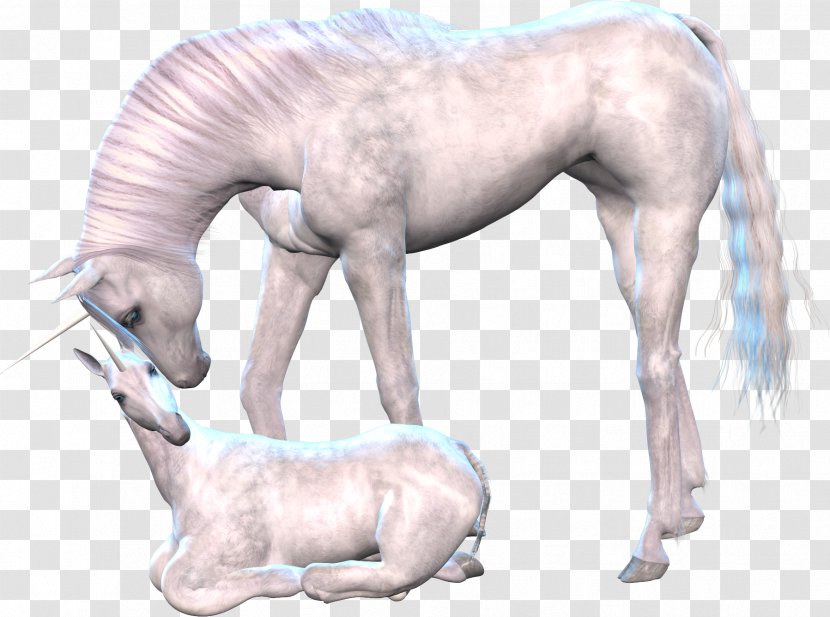 Unicorn Horse Clip Art - Livestock - Pegasus Transparent PNG