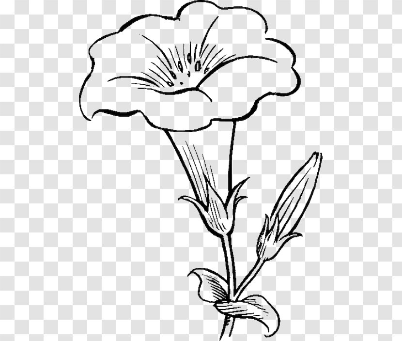 Flower Drawing Coloring Book Tulip Clip Art - Bouquet Transparent PNG