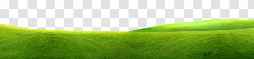 Tennis Ball Energy Wallpaper - Grass Family - Green Border Texture Transparent PNG