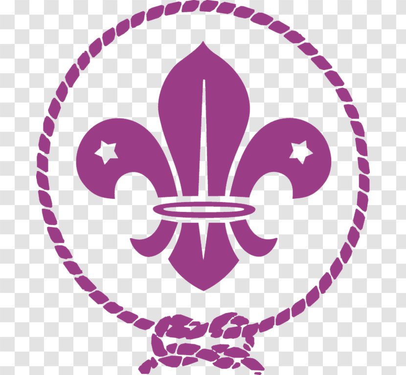 Scouting World Organization Of The Scout Movement Boy Scouts America Troop Association - Cub - Baden Powell Transparent PNG