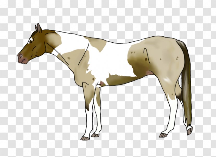 Mane Foal Mustang Stallion Colt - Horse Like Mammal Transparent PNG
