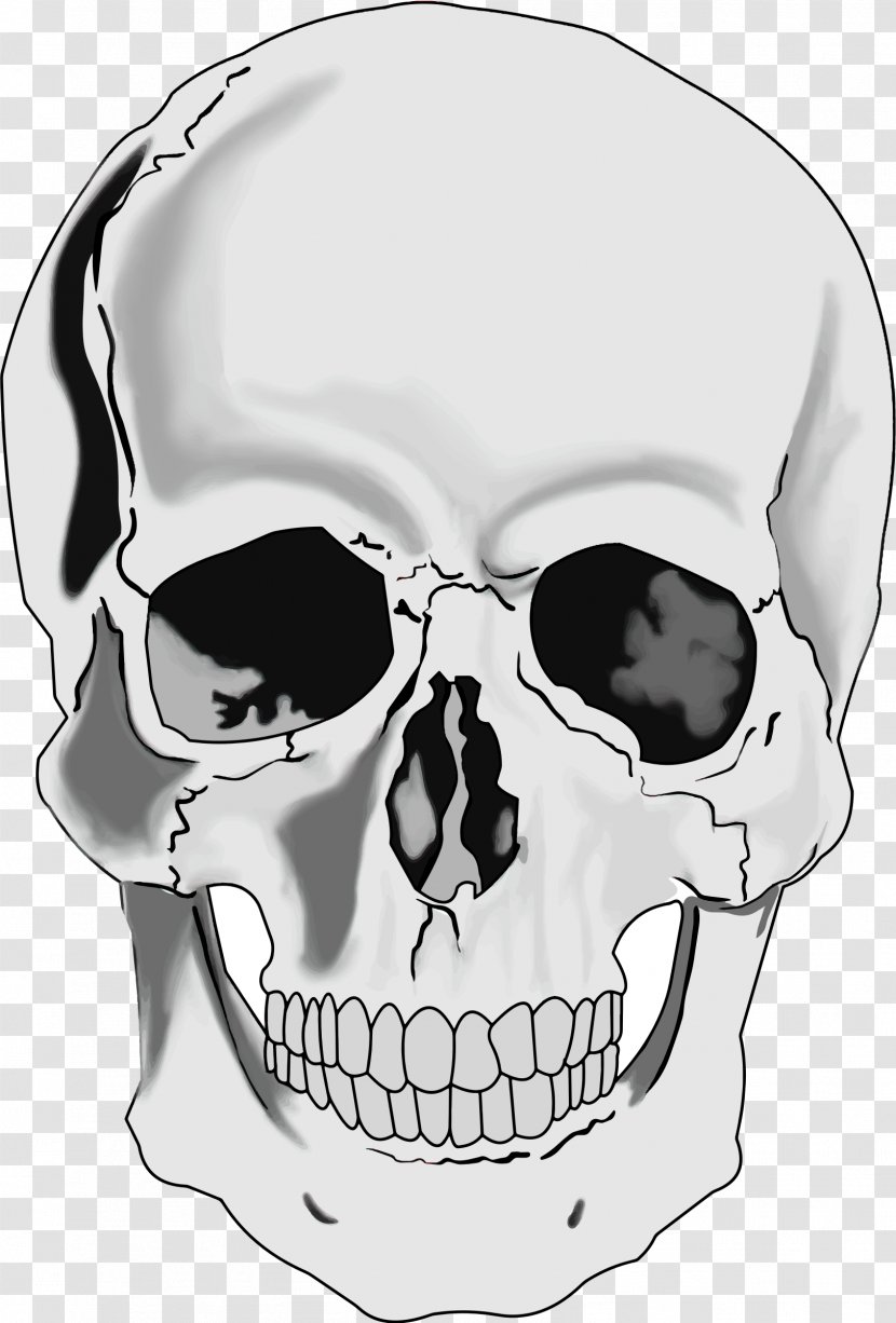 Skull Human Skeleton Head Clip Art - Neck Transparent PNG