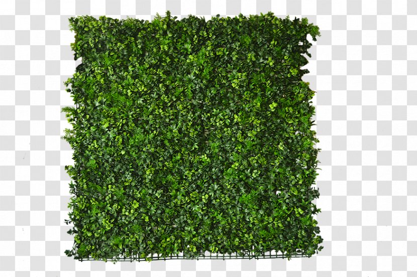 Follaje Rainforest Ivy Garden Meter - Vine - Fake Grass Transparent PNG