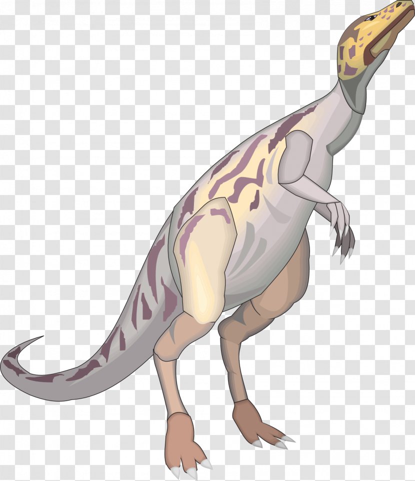 Tyrannosaurus Dinosaur Triceratops Acrocanthosaurus Achelousaurus - Flashcard Transparent PNG
