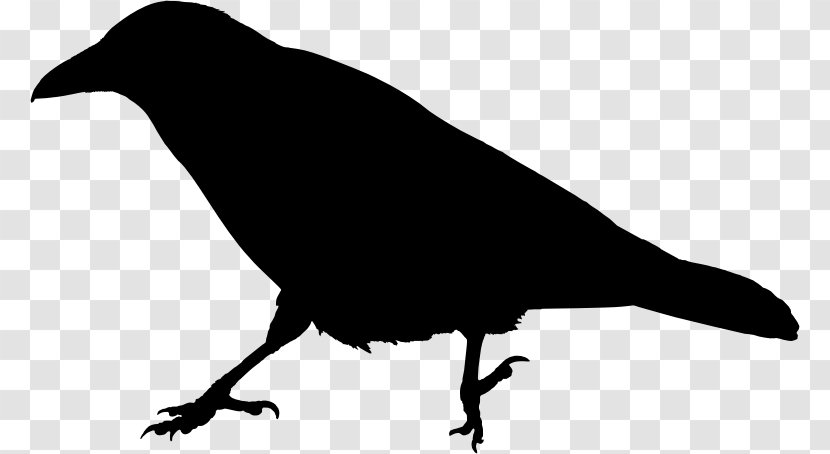 The Raven Common Clip Art - Black And White - Silhouette Transparent PNG