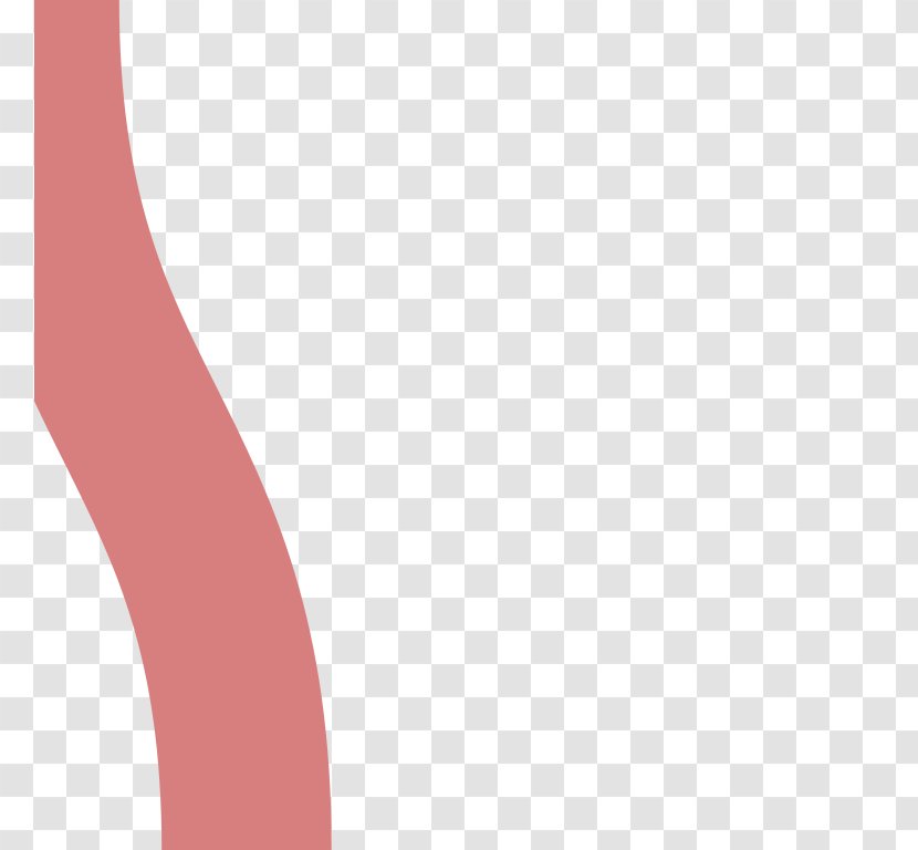 Line Shoulder Angle Shoe - Closeup Transparent PNG