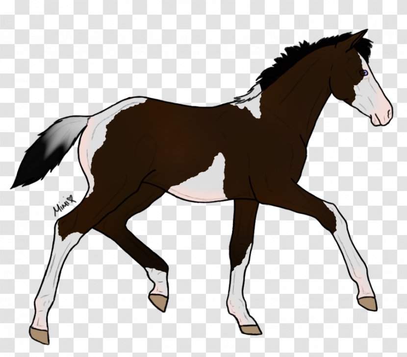 Foal Pony Mustang Stallion Drawing - Autumn Indulgence Transparent PNG