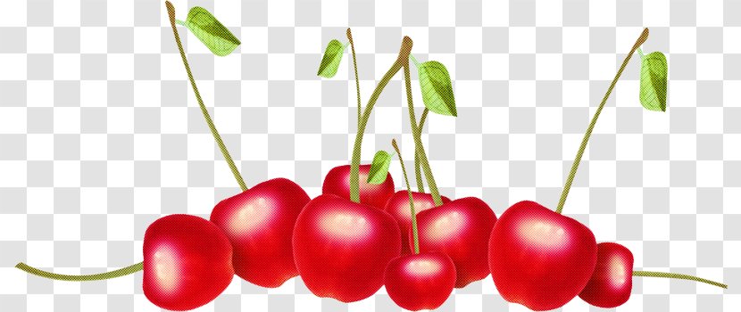Cherries Food Picture Frames Decoupage Cerasus - Fruit - Acerola Drupe Transparent PNG