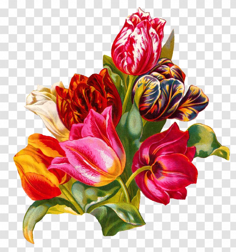 Flower Bouquet Tulip Floristry Cut Flowers - Art - Botanical Transparent PNG