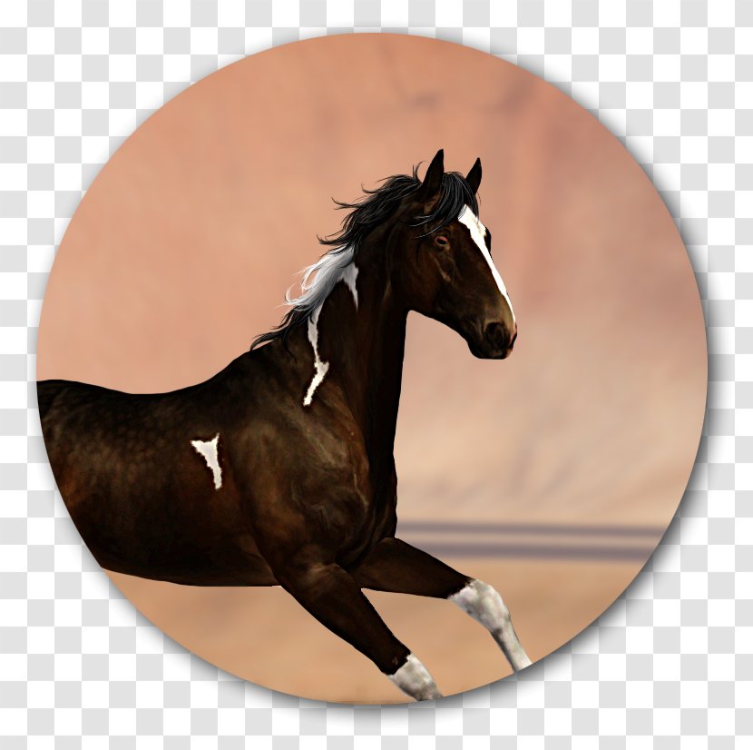 Mustang Rein Mane Stallion Mare - Bornlovely Transparent PNG