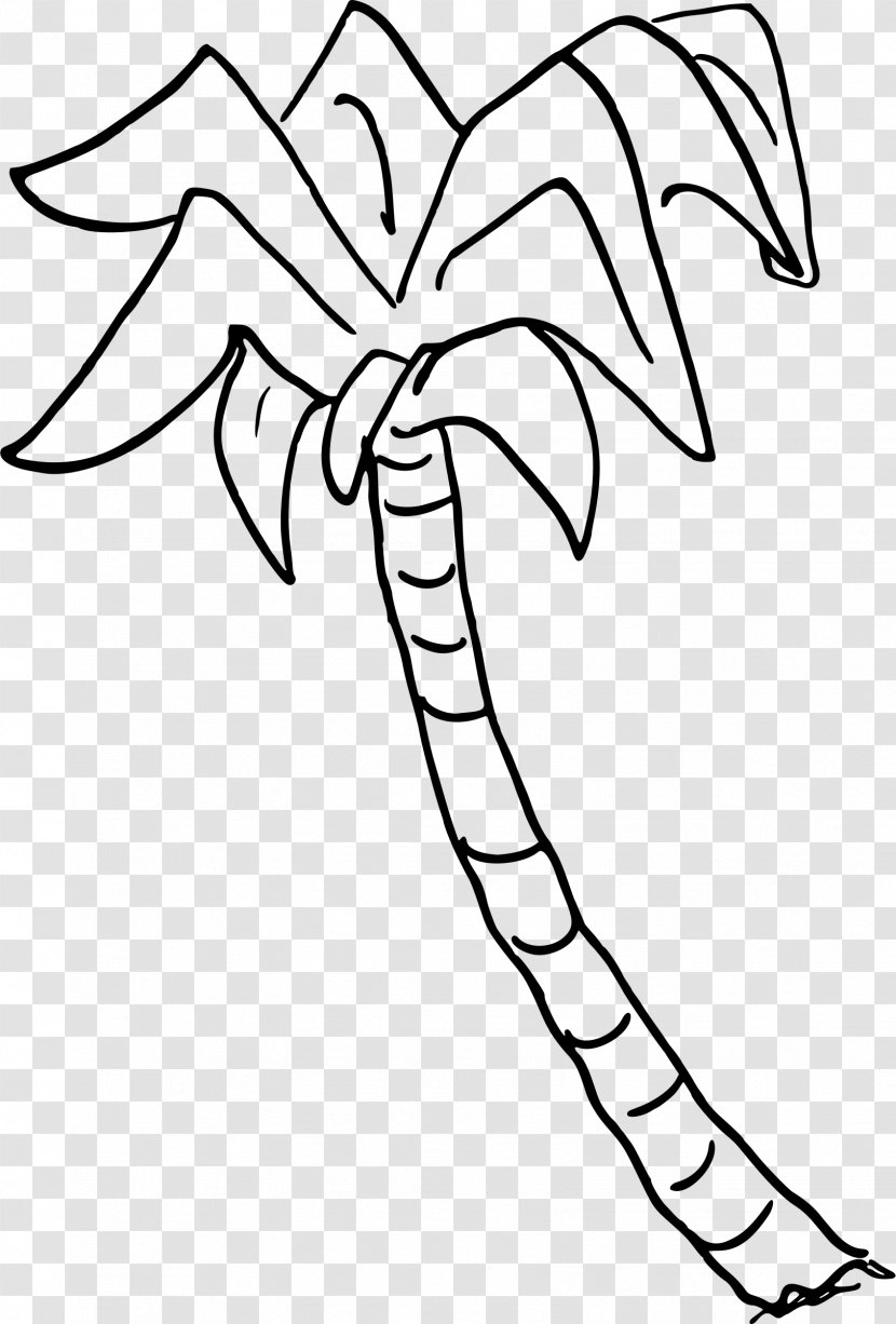 Tree Arecaceae Sabal Palm Clip Art - Organism Transparent PNG