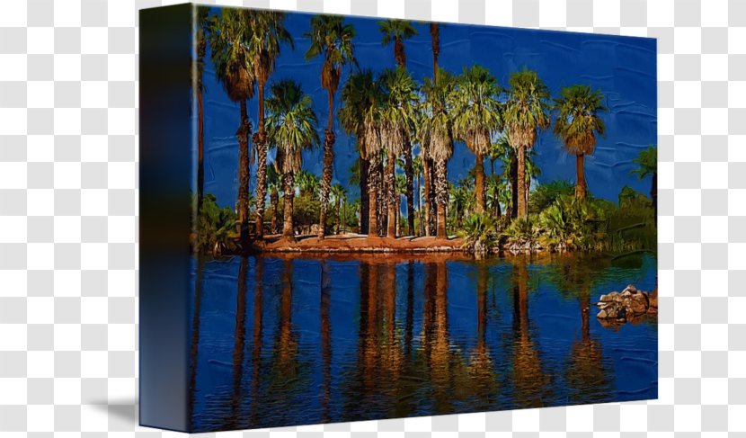 Majorelle Blue Garden Bayou Painting Landscape - Biome - Palm Tree And Water Transparent PNG
