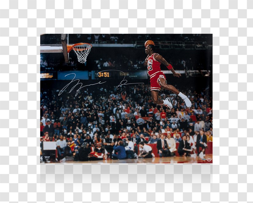 Chicago Bulls Cleveland Cavaliers Washington Wizards Autograph Basketball - Michael Jordan Transparent PNG
