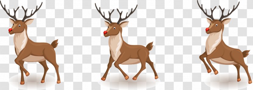 Rudolph Santa Claus Reindeer Christmas - Clauss - Deer Vector Material Transparent PNG