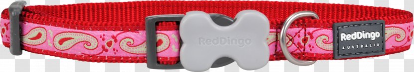 Dog Collar Dingo Purple - Red Transparent PNG