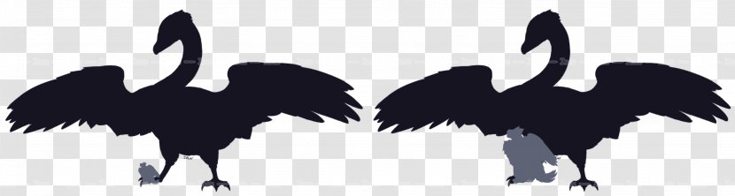 Beak Bird Crane Feather Silhouette Transparent PNG