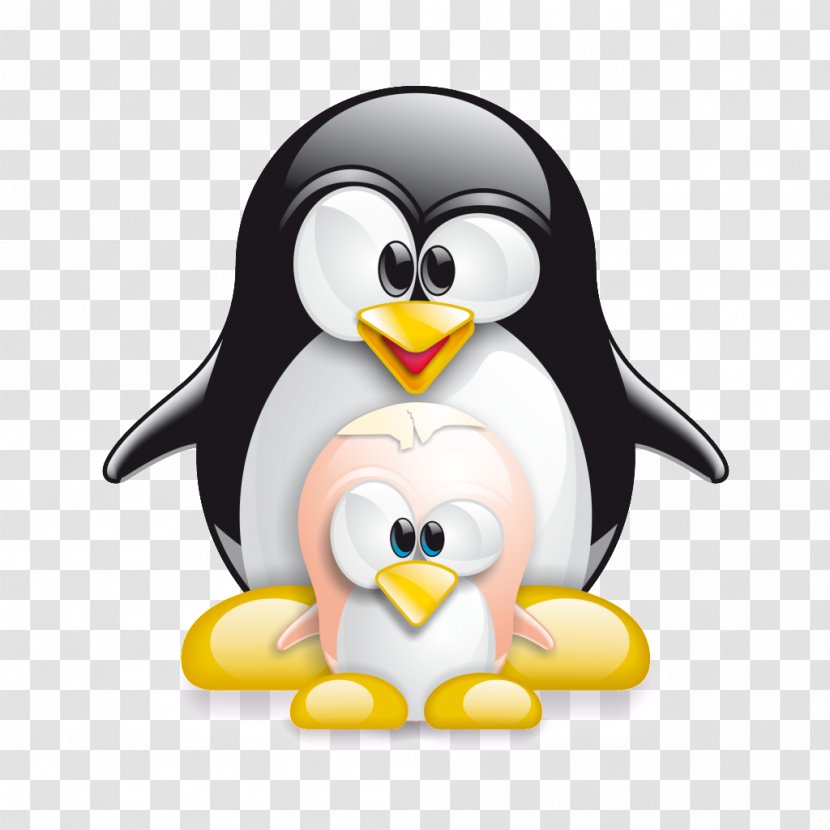 Linux Kernel Computer Software Installation - Mint - Vishnu Transparent PNG