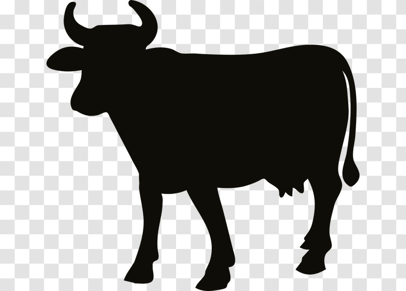 Beef Cattle Angus Charolais Ox - Cow Goat Family - Silhouette Transparent PNG
