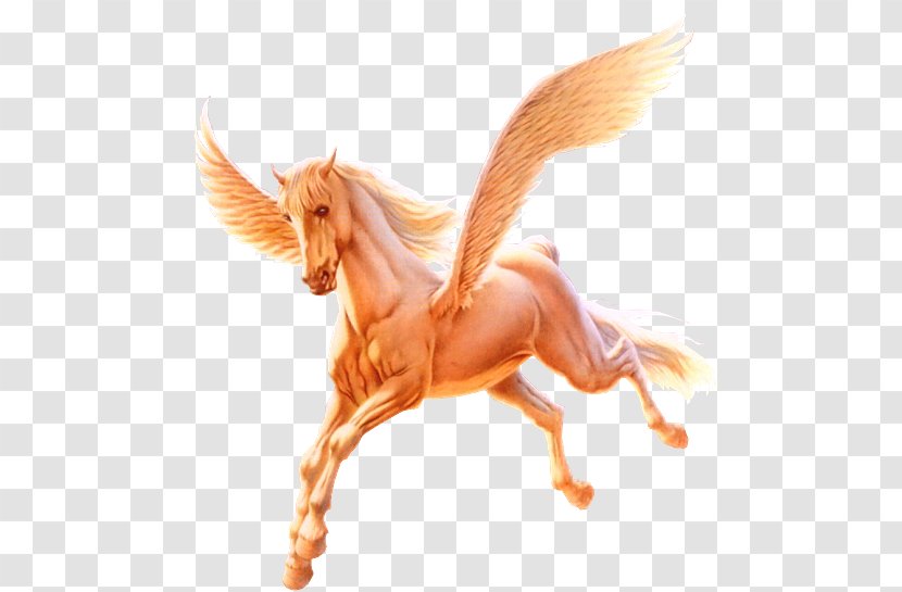 Horse Pegasus Unicorn - Mythical Creature Transparent PNG