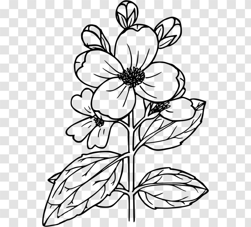 Drawing Illustration Clip Art Image - Doodle - Flowers To Draw Blossom Flower Transparent PNG