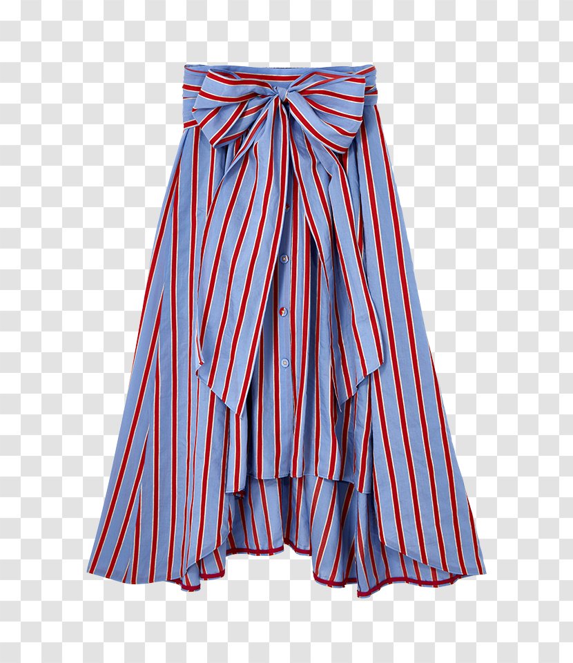 Trunks Shorts Skirt Dress Transparent PNG