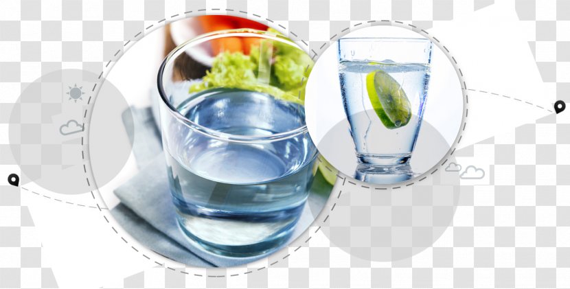 Water Carrot Food Lettuce Healthy Diet - Drinkware Transparent PNG