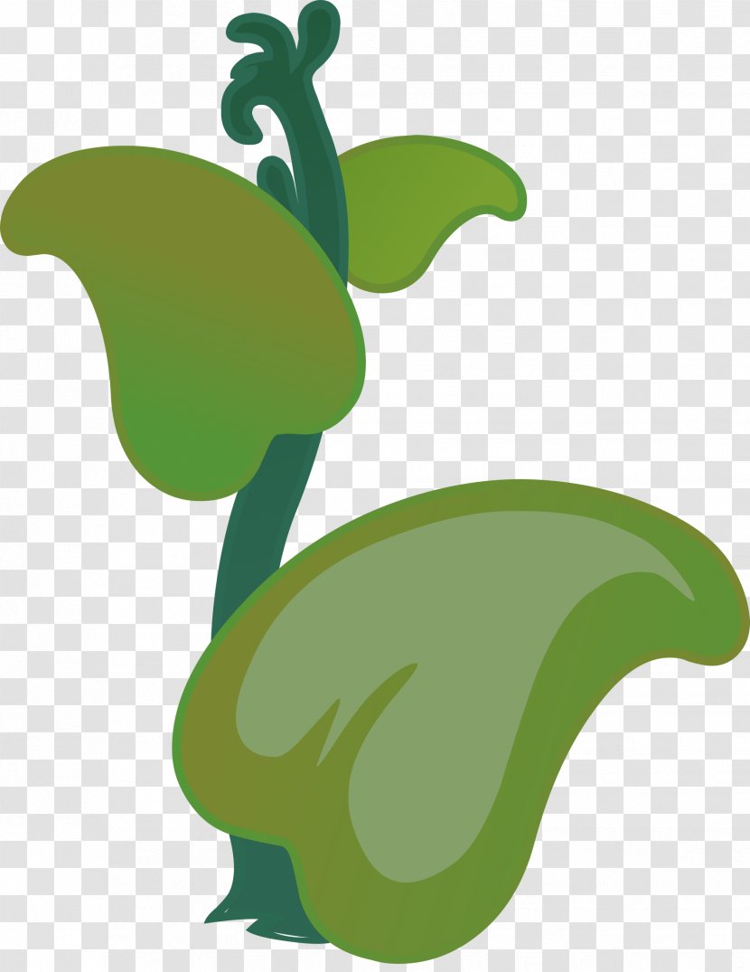 Drawing Clip Art - Plant - Tropical Transparent PNG