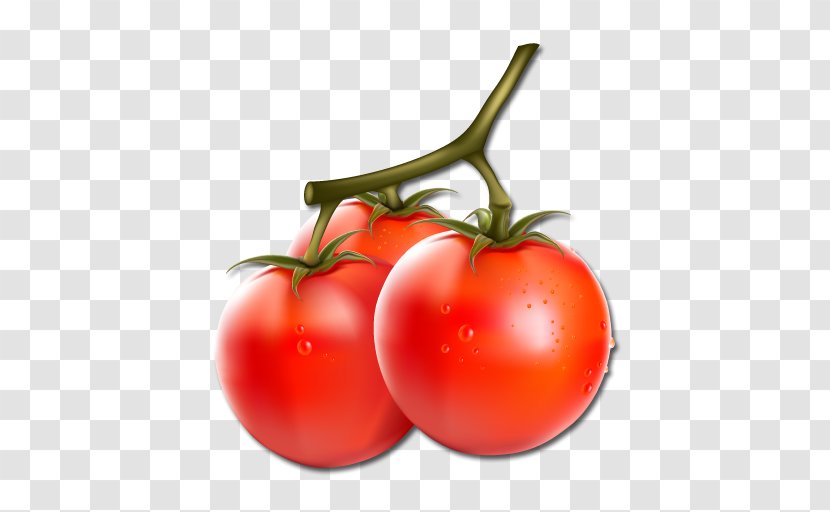 Vector Graphics Vegetable Cherry Tomato Clip Art Illustration - Aubergines - Ceu Transparent PNG