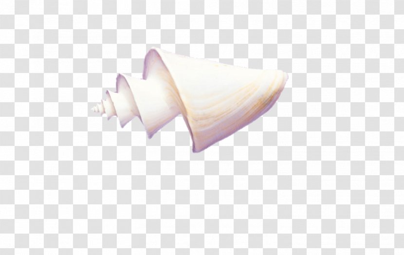 Finger Angle - Conch Transparent PNG
