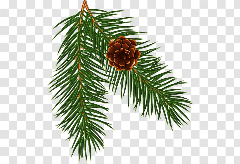 Spruce Christmas Ornament Pine Fir Larch - Tree - Design Transparent PNG