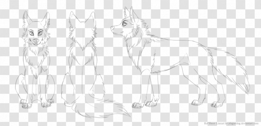 Gray Wolf Line Art Drawing Sketch - Blank Sheet Transparent PNG