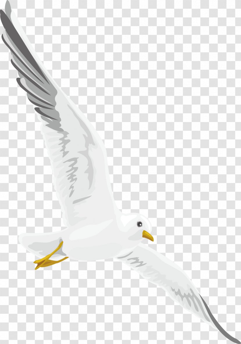 Euclidean Vector - Bird Of Prey - Wild Goose Decoration Design Transparent PNG
