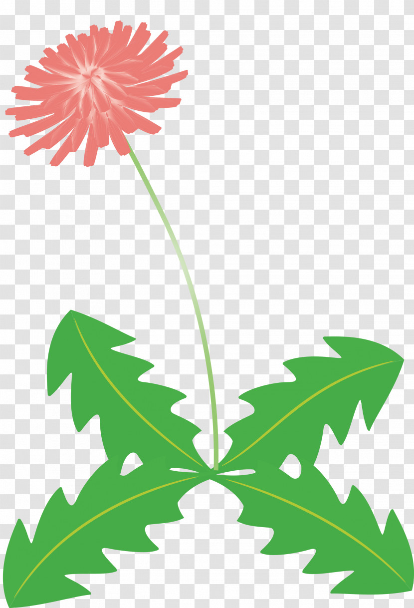 Dandelion Flower Transparent PNG