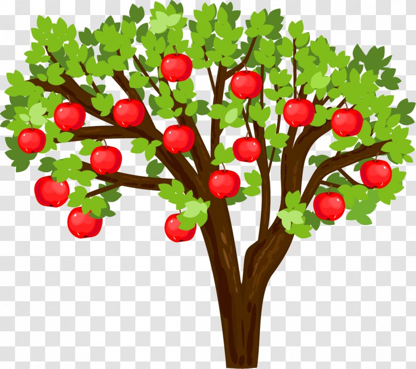 Apple Biological Life Cycle Tree Seed - Branch Transparent PNG