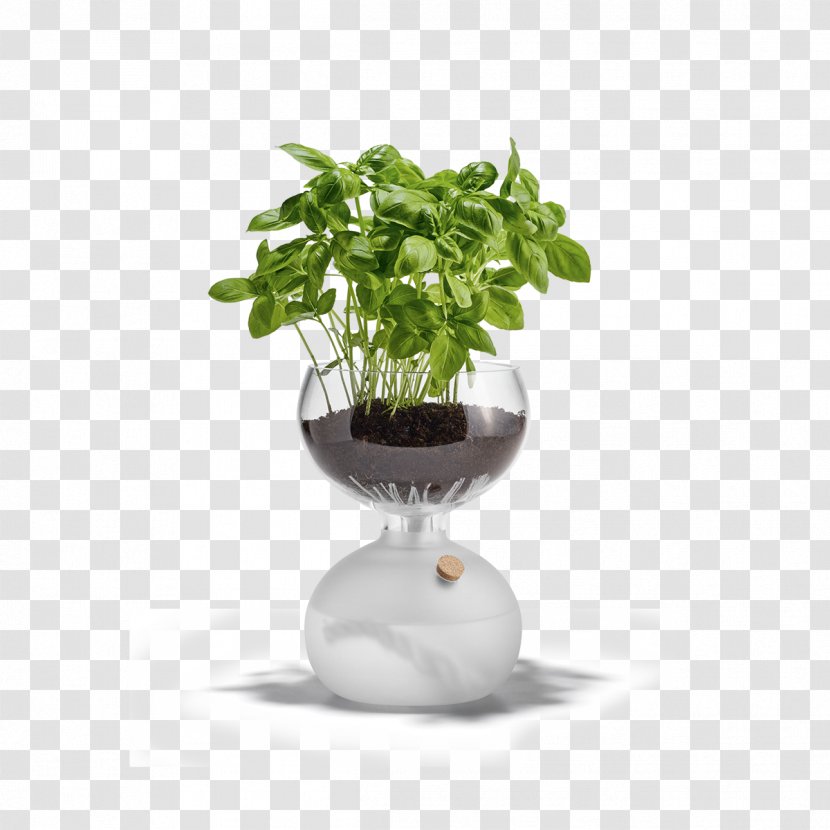 Holmegaard Flowerpot Glass Herb Greenhouse - Tool - Hand-painted Fresh Spices Transparent PNG