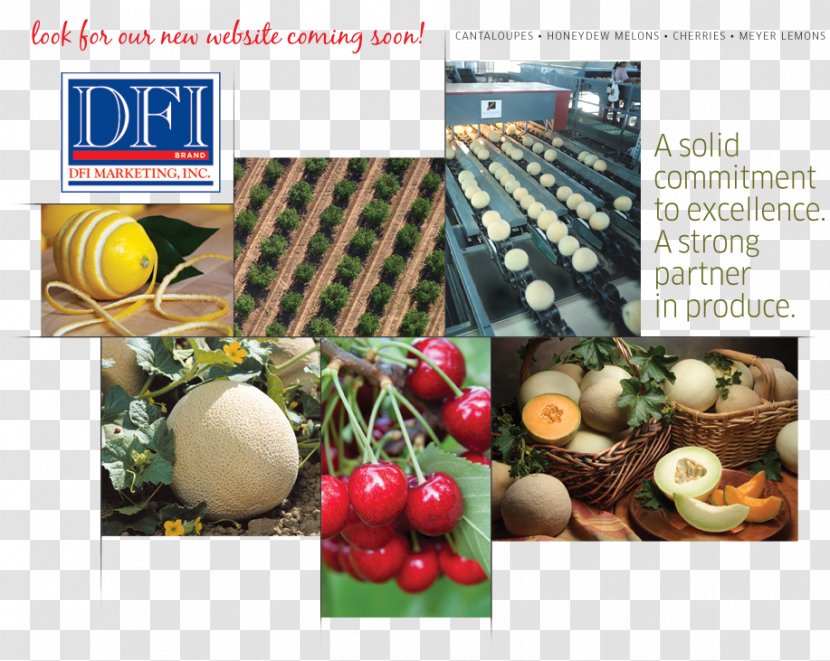 DFI Marketing Inc Information System Advertising - Fruit Transparent PNG