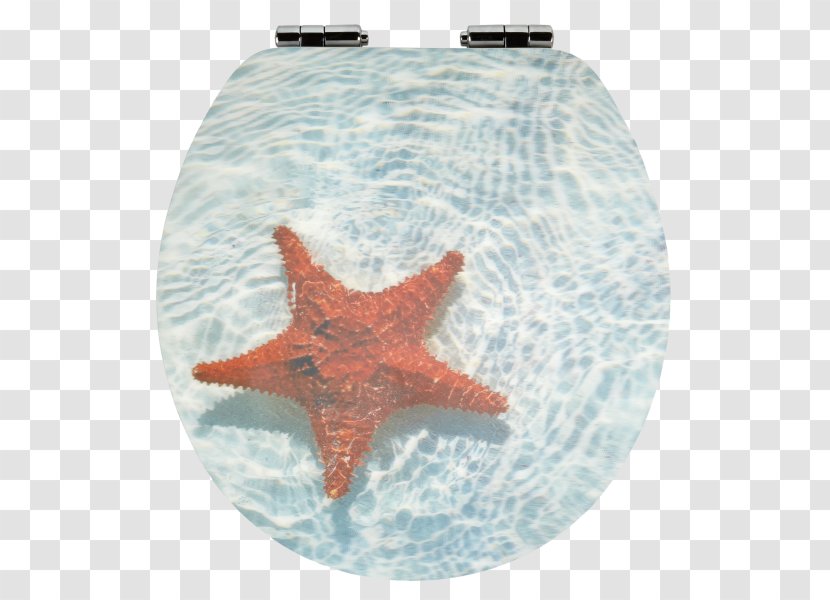 Toilet & Bidet Seats Bathroom Bowl - Starfish Transparent PNG