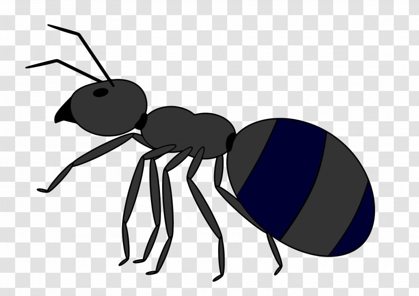Ant Desktop Wallpaper Clip Art - Cartoon UNIVERSE Transparent PNG