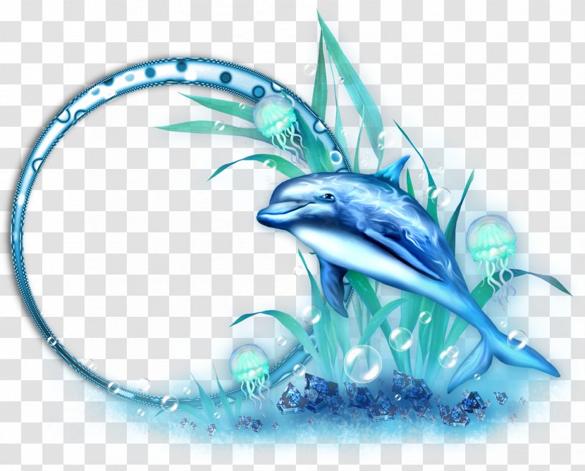 Dolphin Clip Art - Aqua - Decorative Borders Blue Whale Transparent PNG