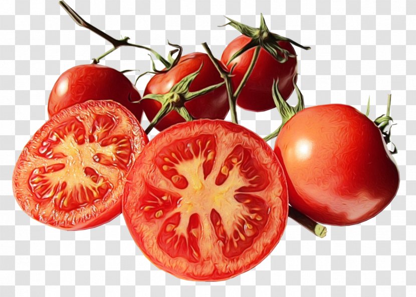 Tomato - Cherry Tomatoes Plant Transparent PNG