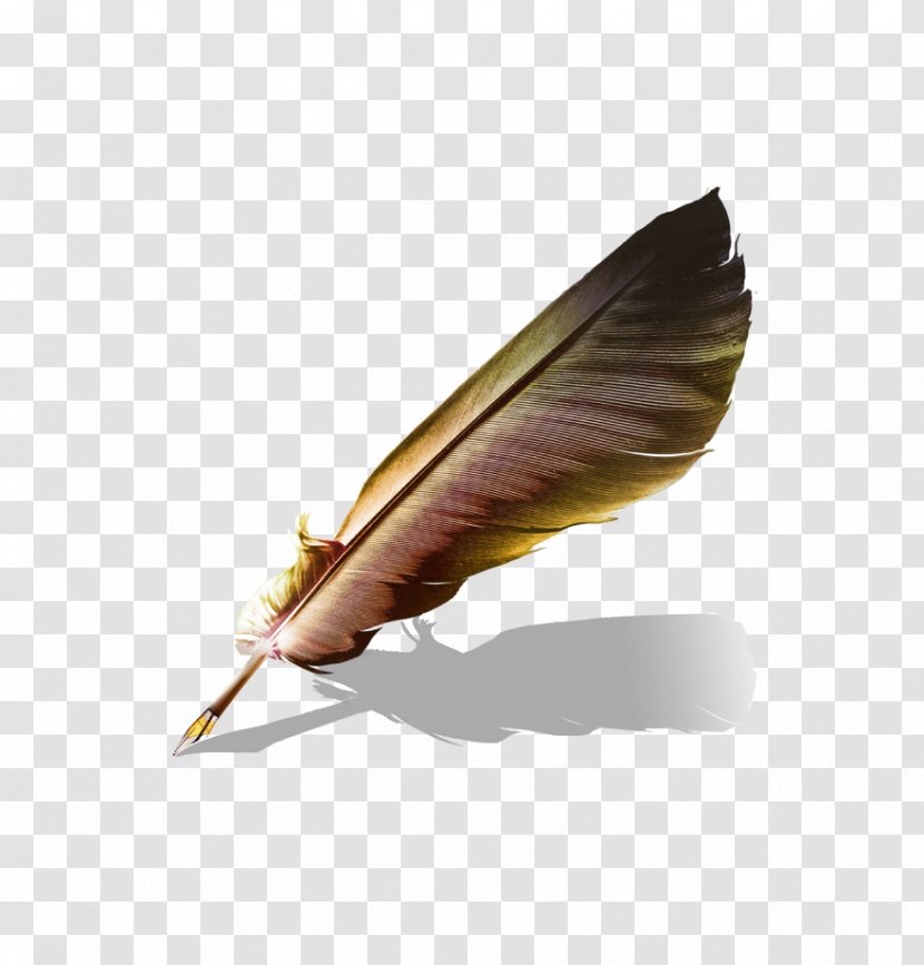 Matilda Paper Quill - Feather Transparent PNG