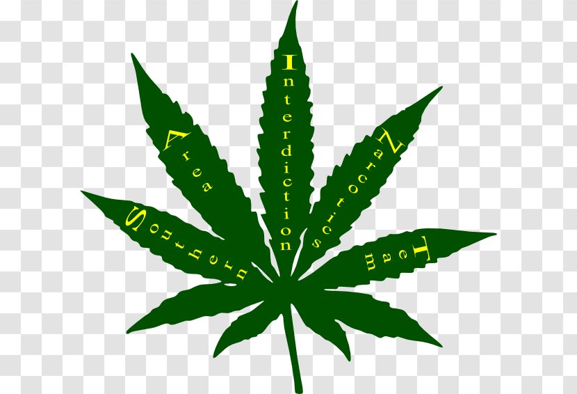 Cannabis Ruderalis Marijuana Leaf Hemp - Hashish Transparent PNG
