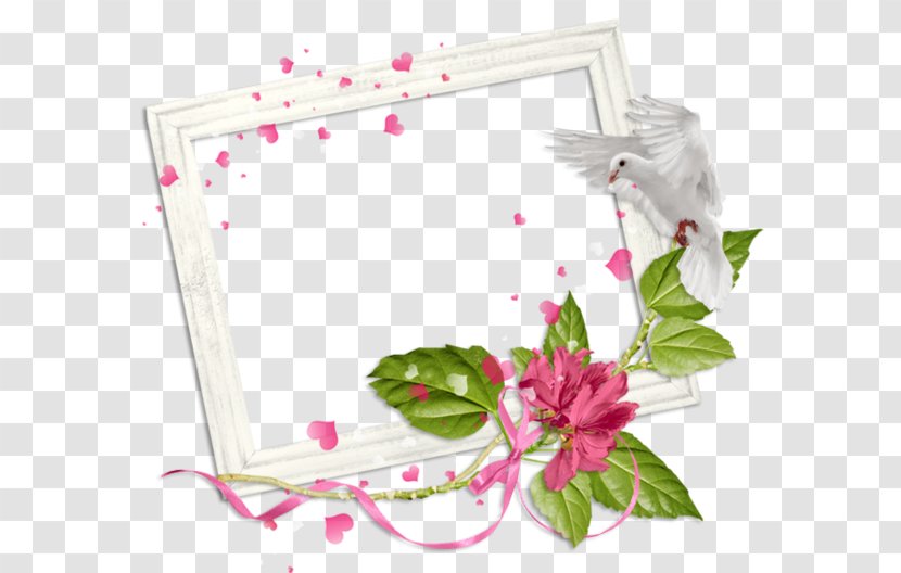 Birthday Valentine's Day Holiday Christmas Decorative Borders Transparent PNG