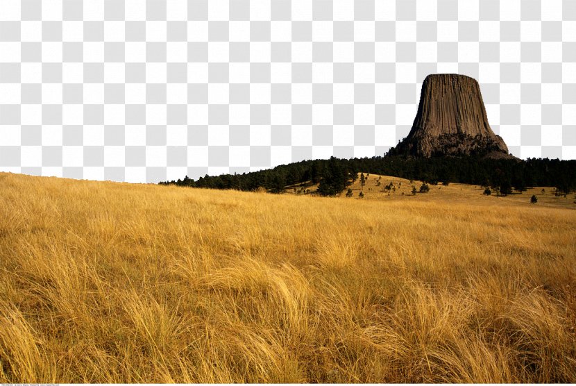 Devils Tower Tourist Attraction National Park - Sky - USA Attractions Transparent PNG