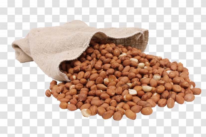 Peanut Vegetarian Cuisine Bean Food - Ingredient - Planters Transparent PNG