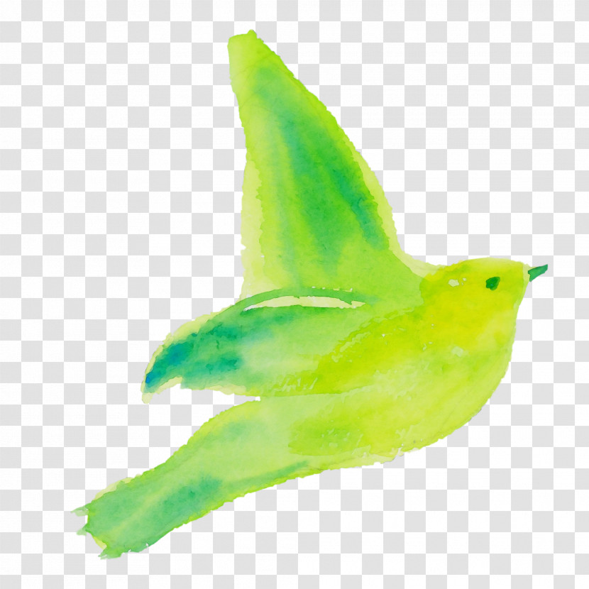 Bird Green Beak Wing Animal Figure Transparent PNG