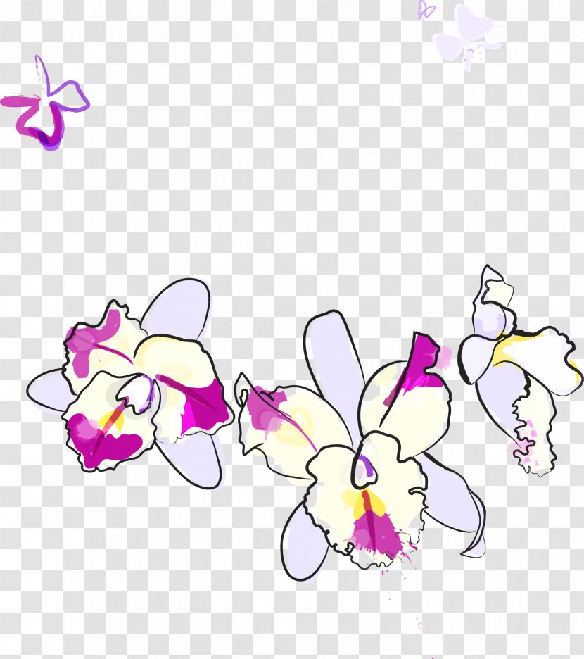 Phalaenopsis Violacea Flower - Petal - Purple Transparent PNG