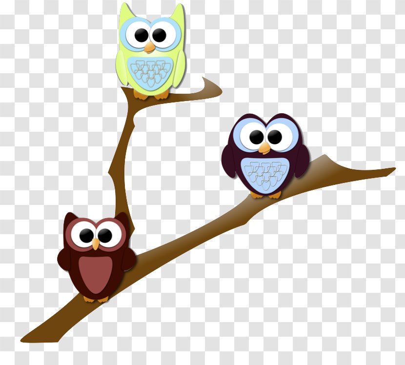 Free Writing Third Grade Teacher First - Owl Transparent PNG